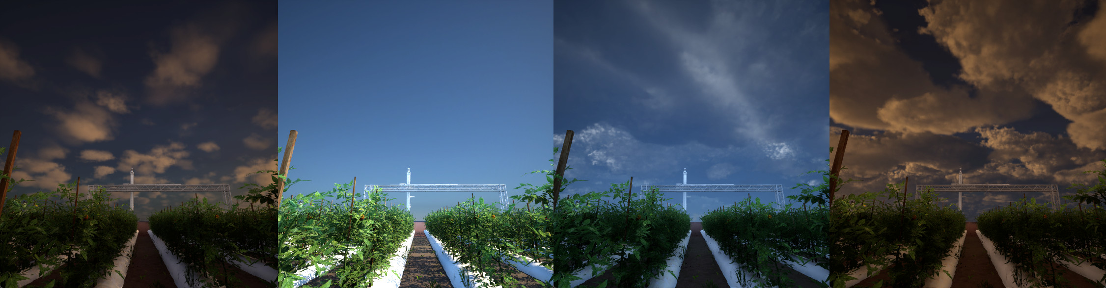 My Figure Description