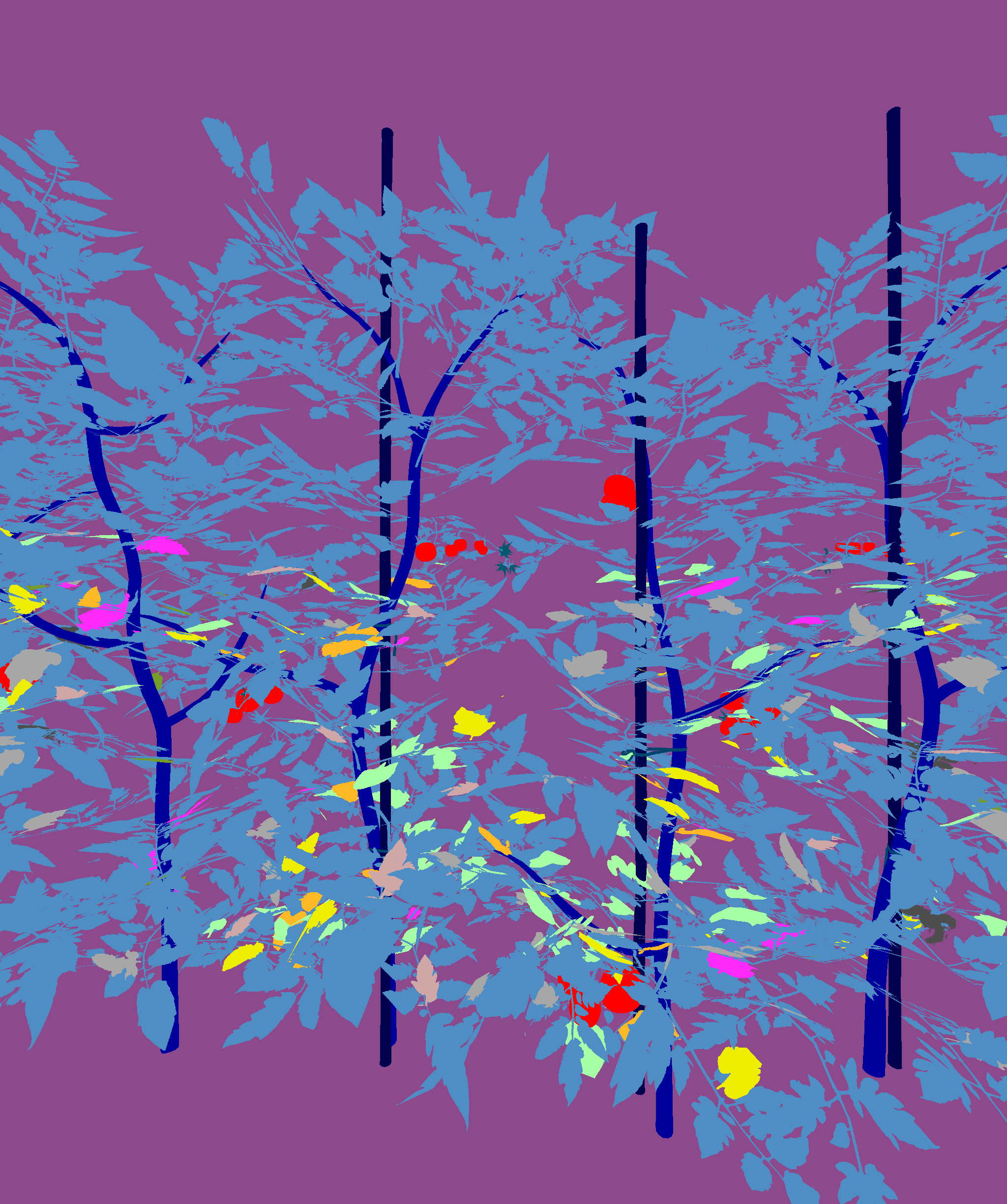 My Figure Description