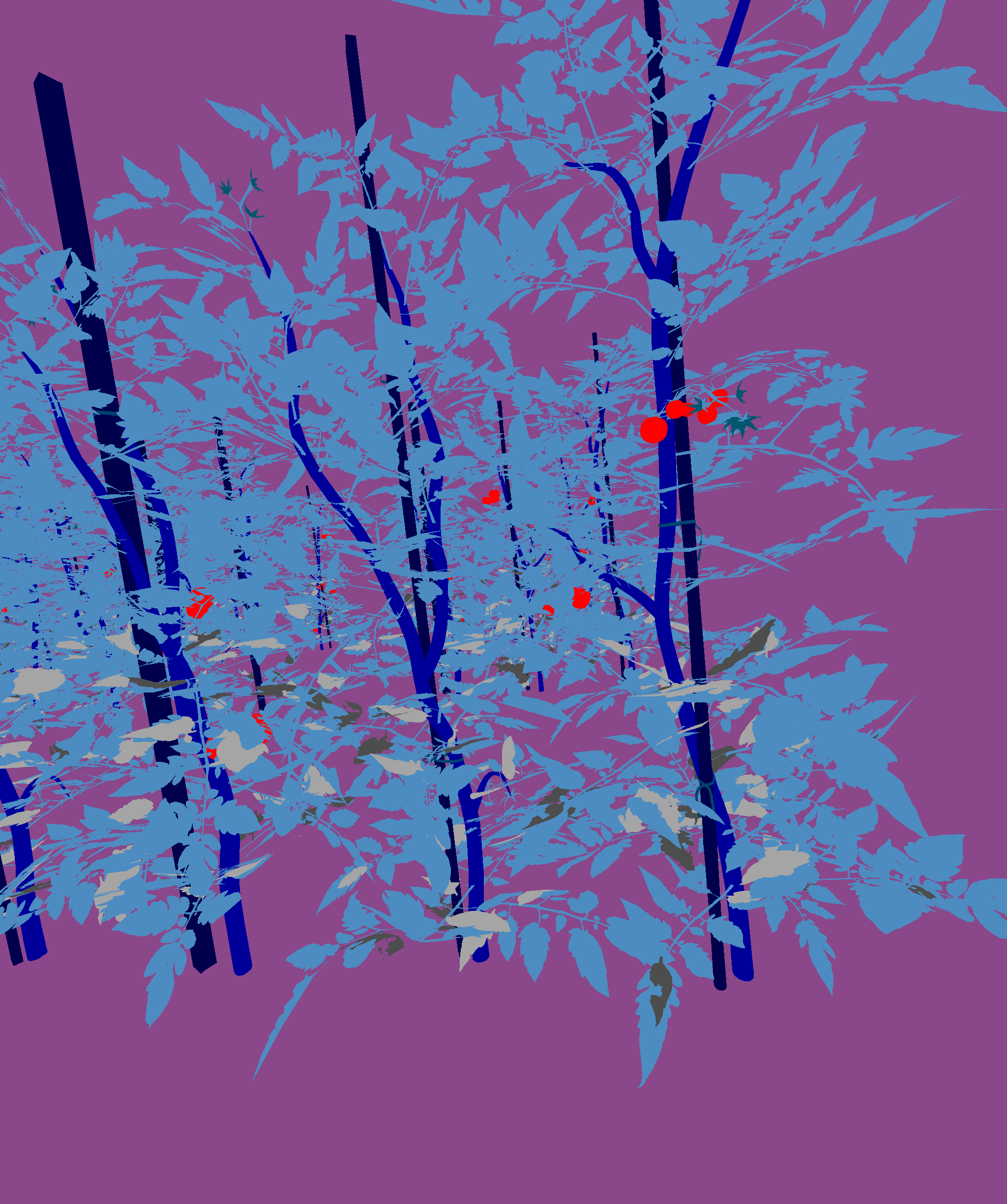 My Figure Description