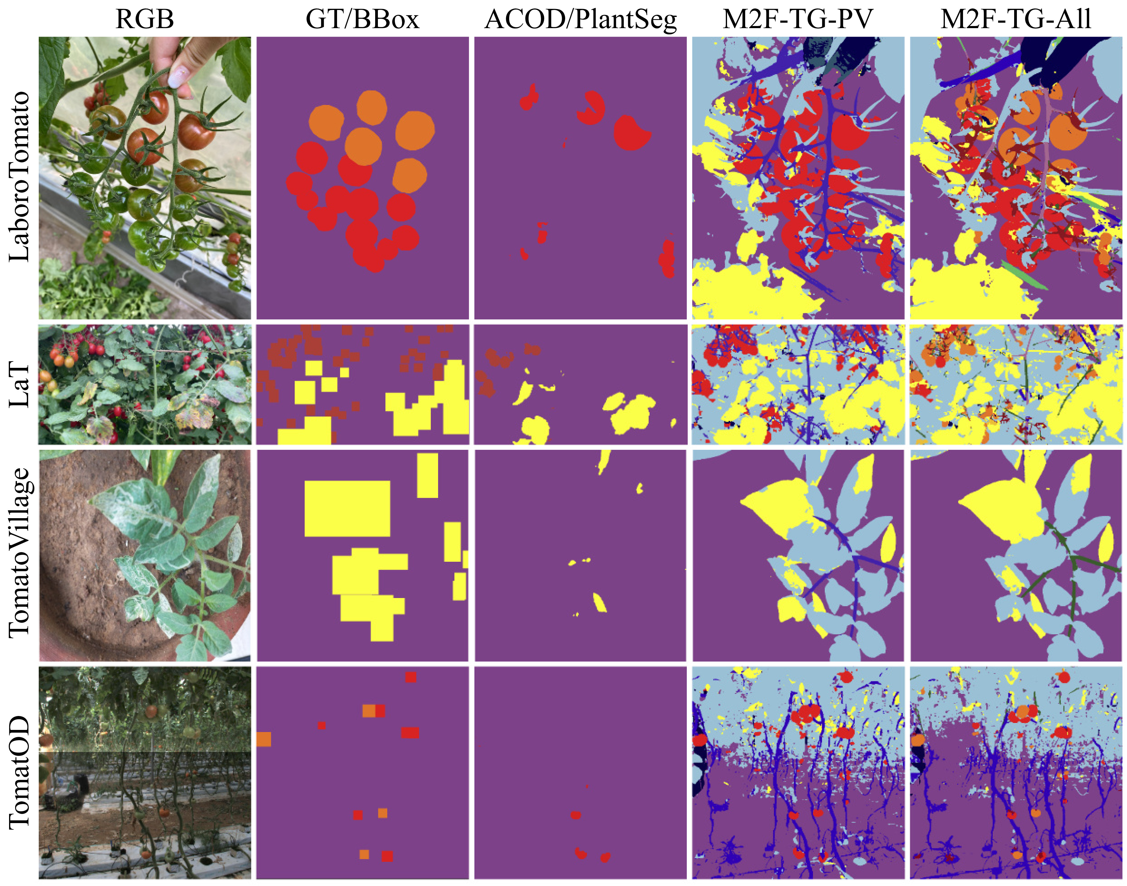 My Figure Description