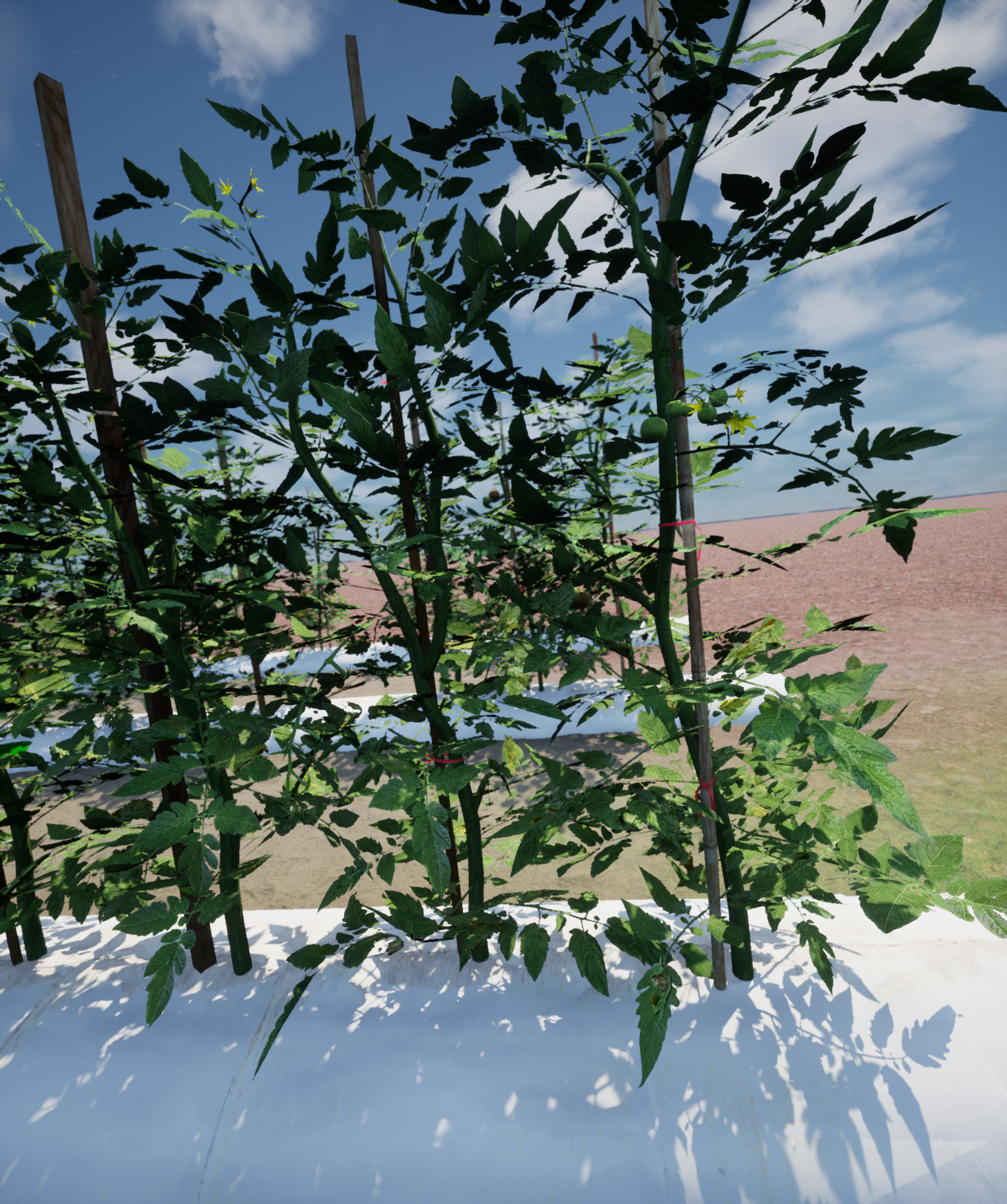 My Figure Description