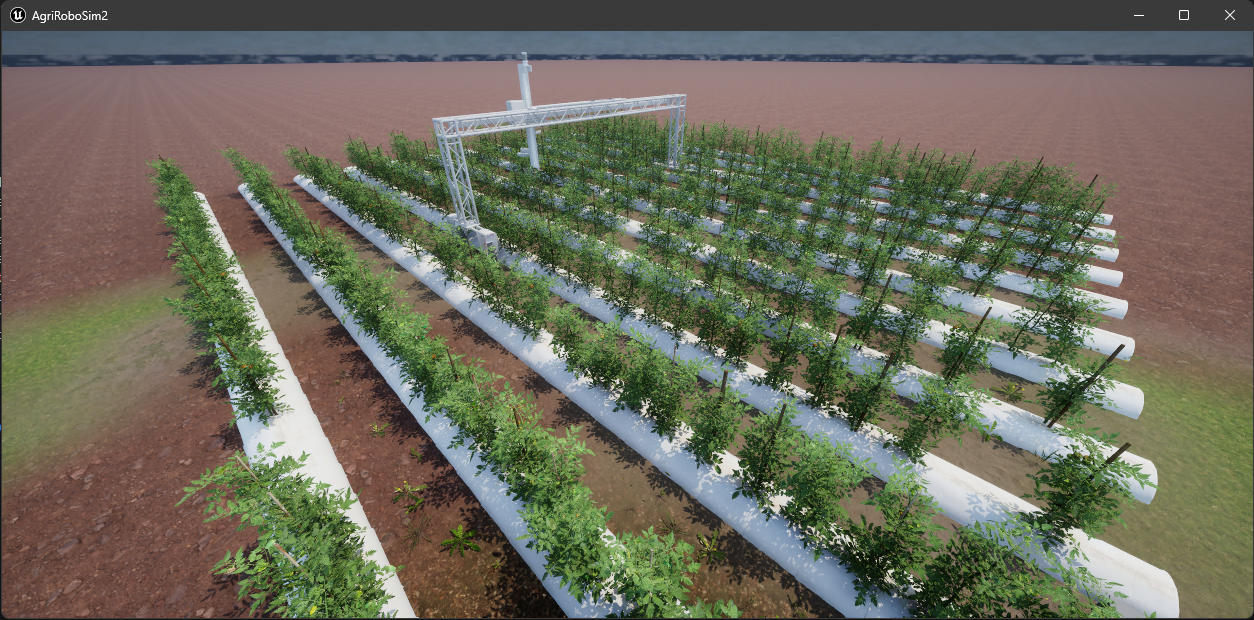 My Figure Description