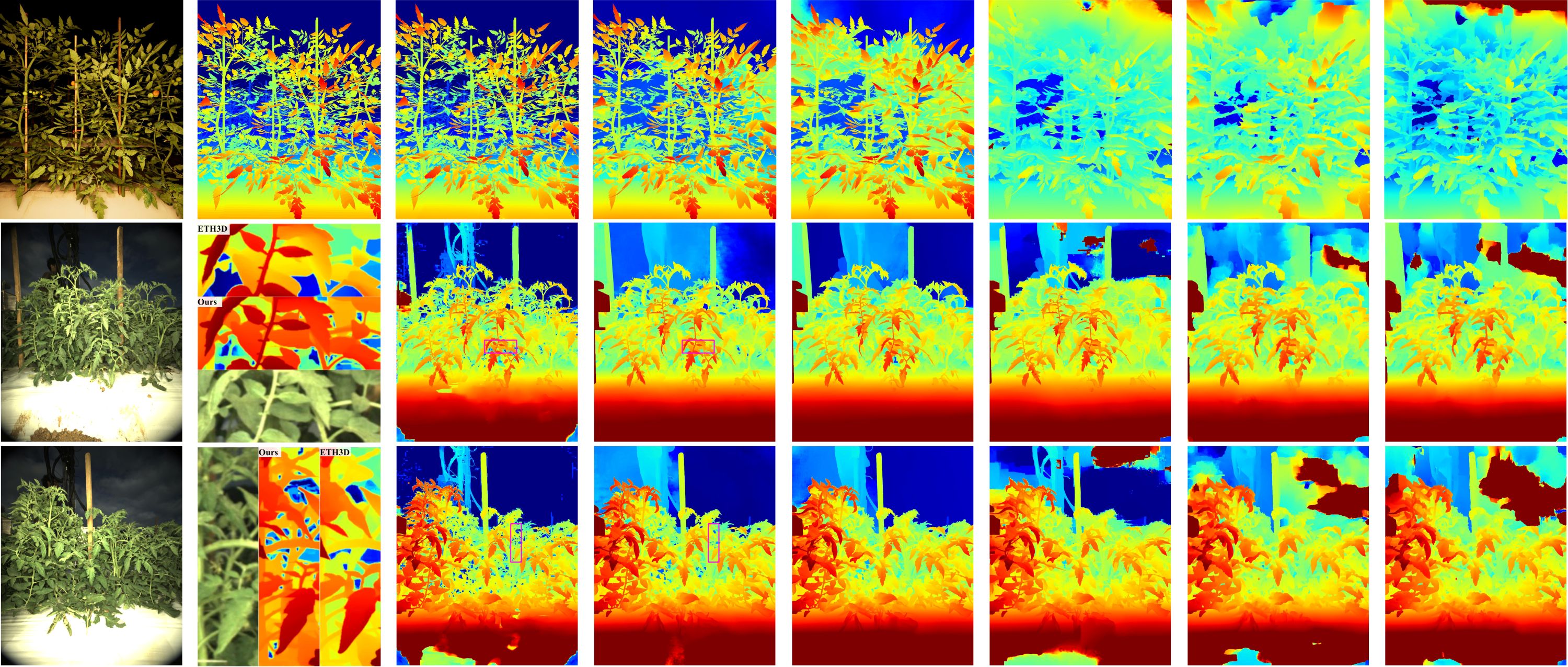 My Figure Description